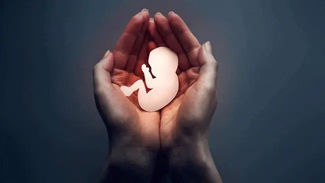 fertilidad y pérdidas